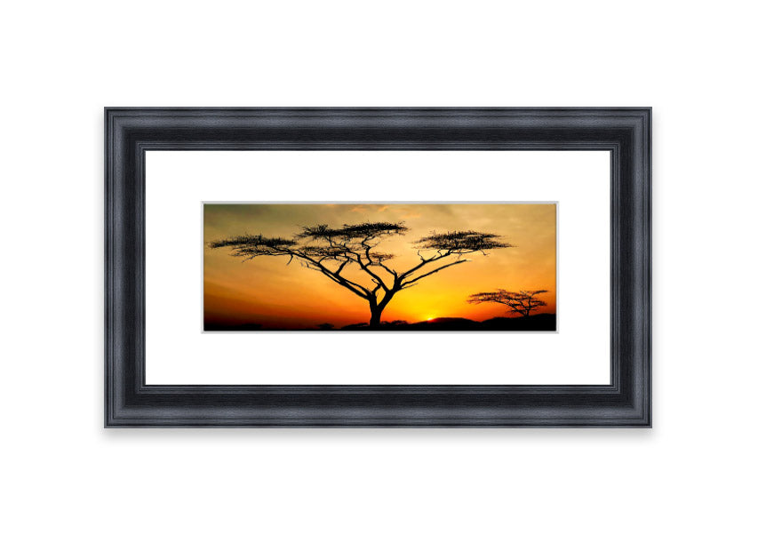 Arcania Tree Sunblaze framed print showcasing a vibrant Cornwall landscape, available in various frame colours.