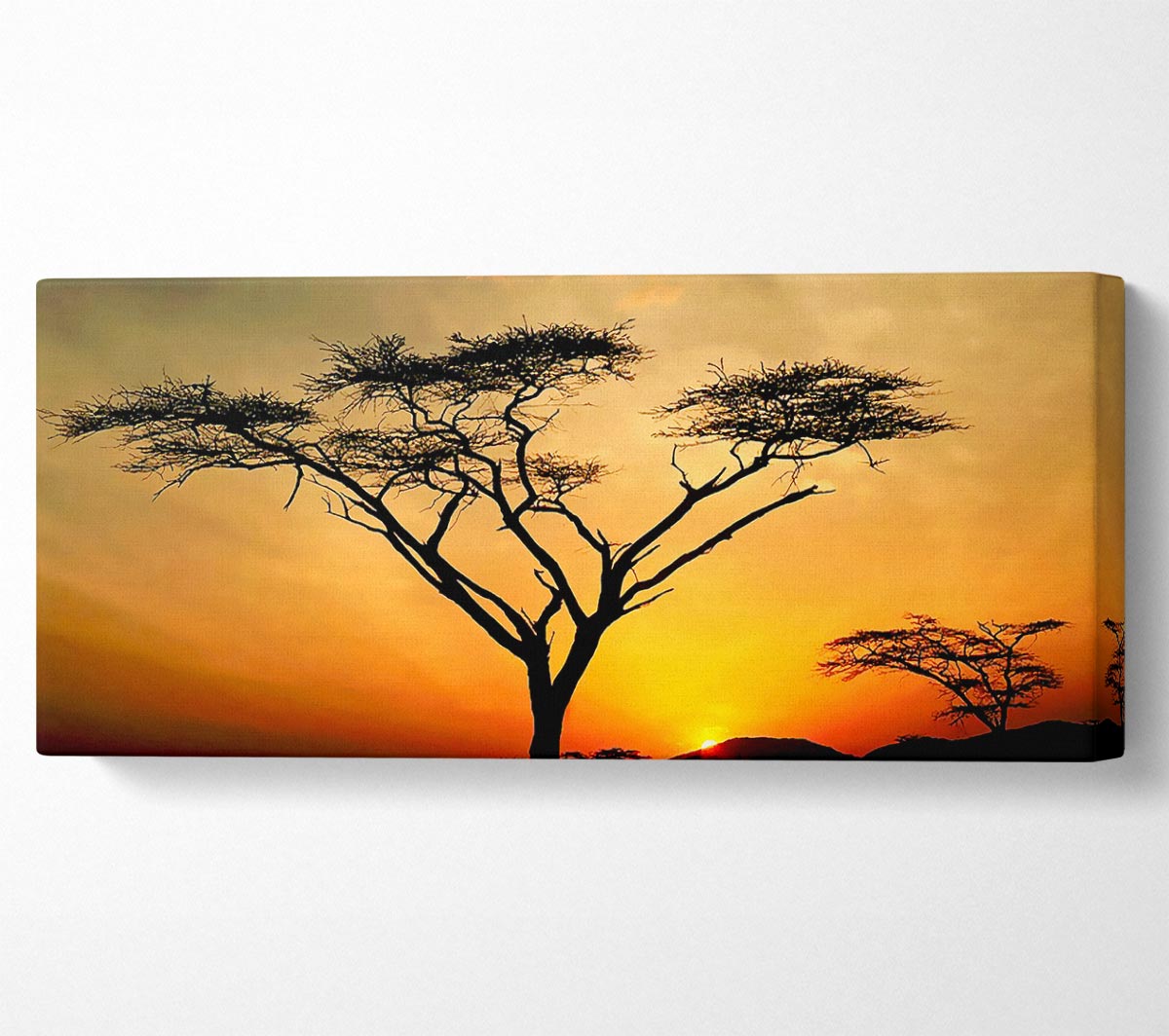 Arcania Tree Sunblaze canvas art mounted on a 44mm box frame, showcasing vibrant colors and intricate details.