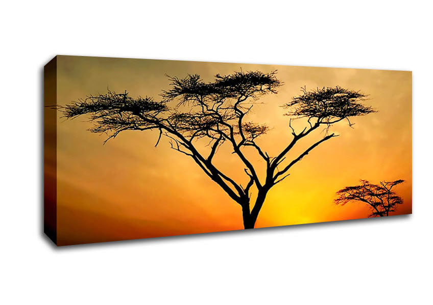 Arcania Tree Sunblaze canvas art mounted on a 44mm box frame, showcasing vibrant colors and intricate details.