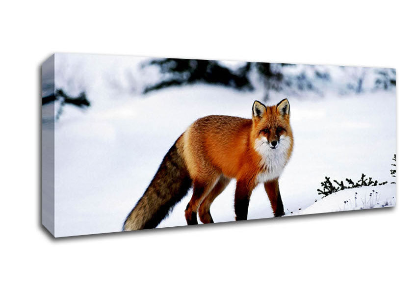 A beautiful Arctic fox standing in a snowy landscape, captured in vibrant colors on a canvas print.