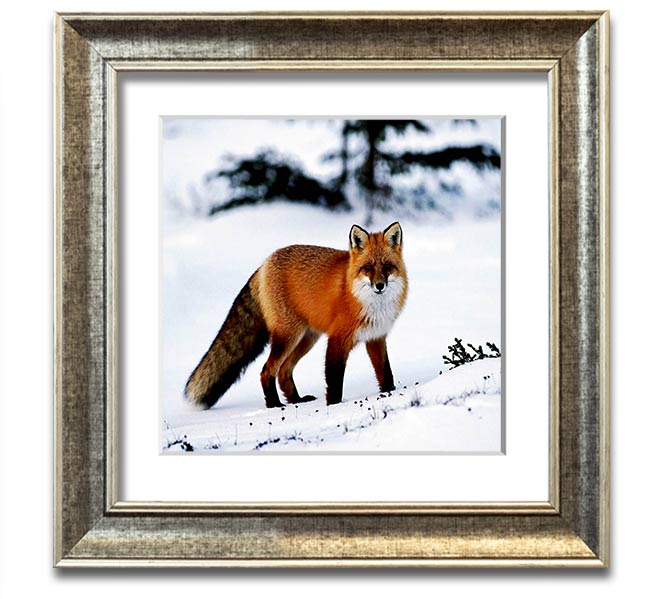 A beautifully framed print of an Arctic fox in a snowy landscape, showcasing its elegant fur and serene environment.