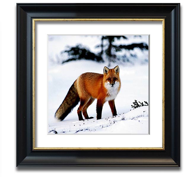 A beautifully framed print of an Arctic fox in a snowy landscape, showcasing its elegant fur and serene environment.