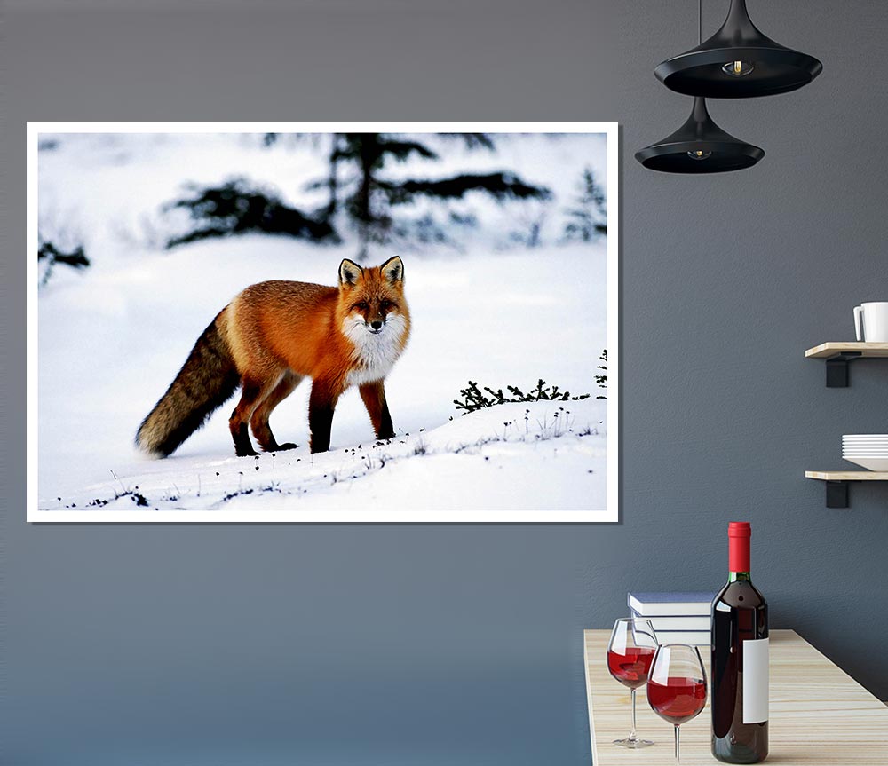 A beautiful Arctic fox standing in a snowy landscape, captured in a high-quality canvas poster.