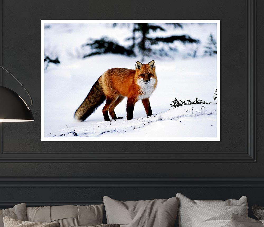 A beautiful Arctic fox standing in a snowy landscape, captured in a high-quality canvas poster.