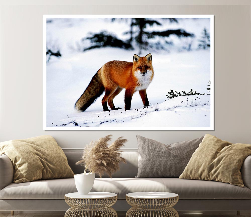 A beautiful Arctic fox standing in a snowy landscape, captured in a high-quality canvas poster.