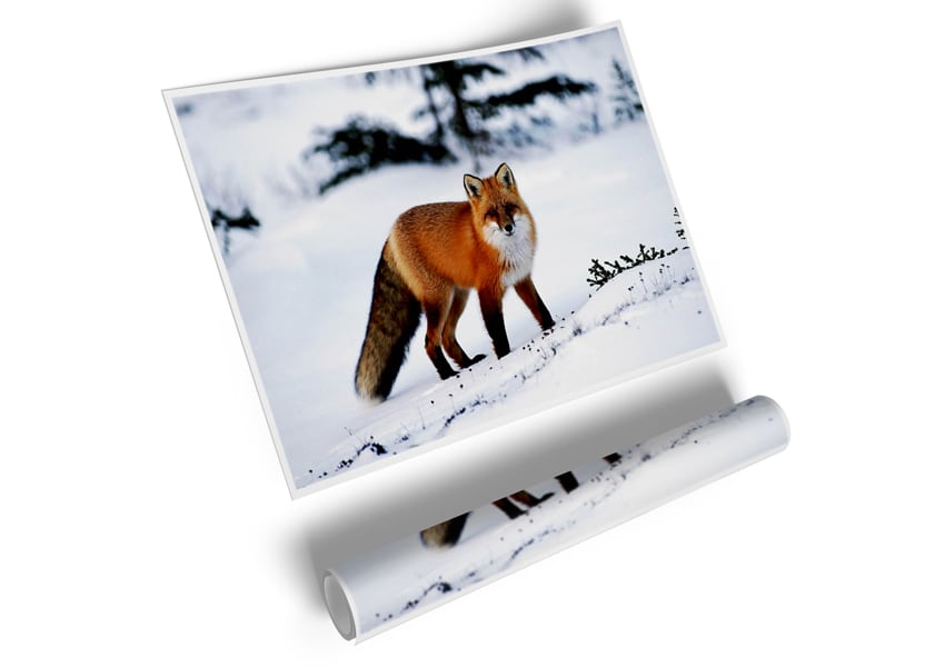 A beautiful Arctic fox standing in a snowy landscape, captured in a high-quality canvas poster.