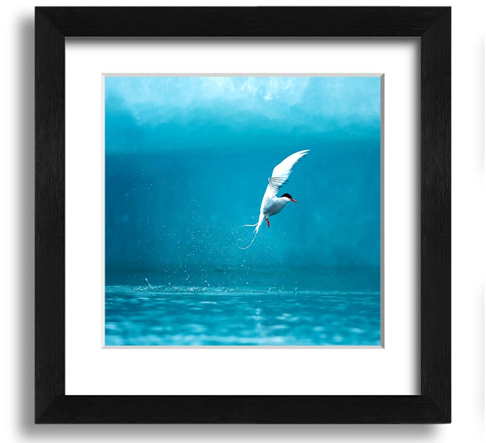 A beautifully framed Arctic Tern print showcasing vibrant colors and intricate details, ready to hang.