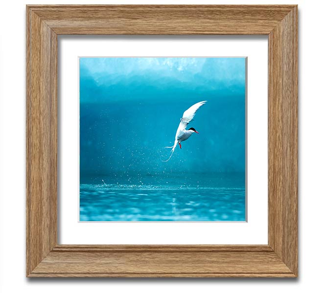 A beautifully framed Arctic Tern print showcasing vibrant colors and intricate details, ready to hang.