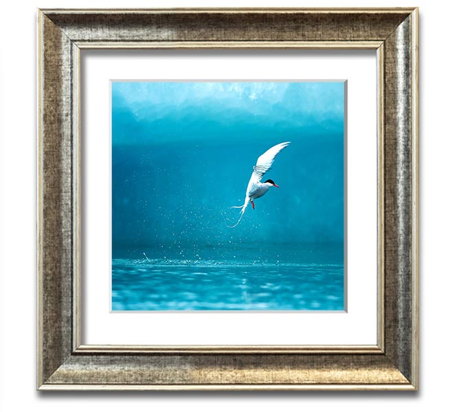 A beautifully framed Arctic Tern print showcasing vibrant colors and intricate details, ready to hang.