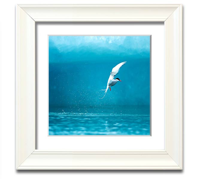 A beautifully framed Arctic Tern print showcasing vibrant colors and intricate details, ready to hang.