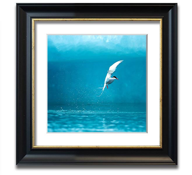 A beautifully framed Arctic Tern print showcasing vibrant colors and intricate details, ready to hang.