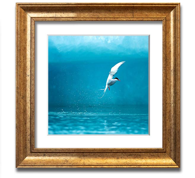 A beautifully framed Arctic Tern print showcasing vibrant colors and intricate details, ready to hang.