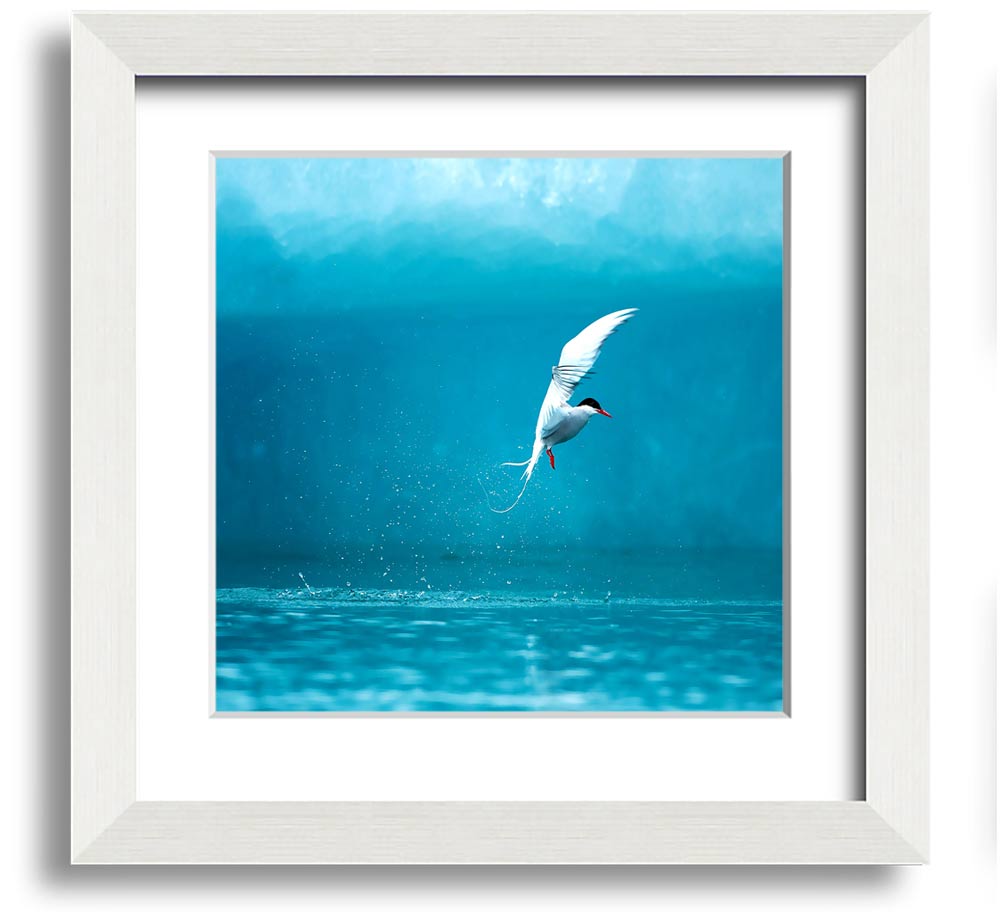 A beautifully framed Arctic Tern print showcasing vibrant colors and intricate details, ready to hang.