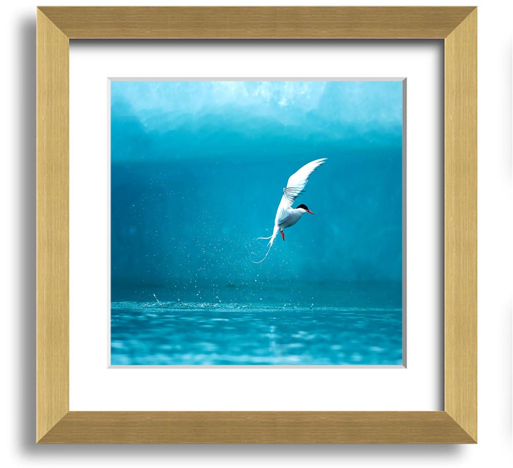 A beautifully framed Arctic Tern print showcasing vibrant colors and intricate details, ready to hang.