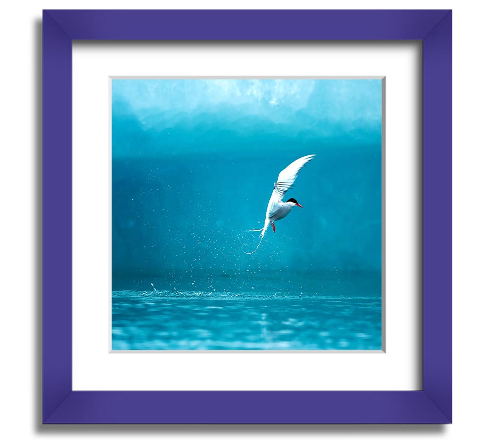 A beautifully framed Arctic Tern print showcasing vibrant colors and intricate details, ready to hang.