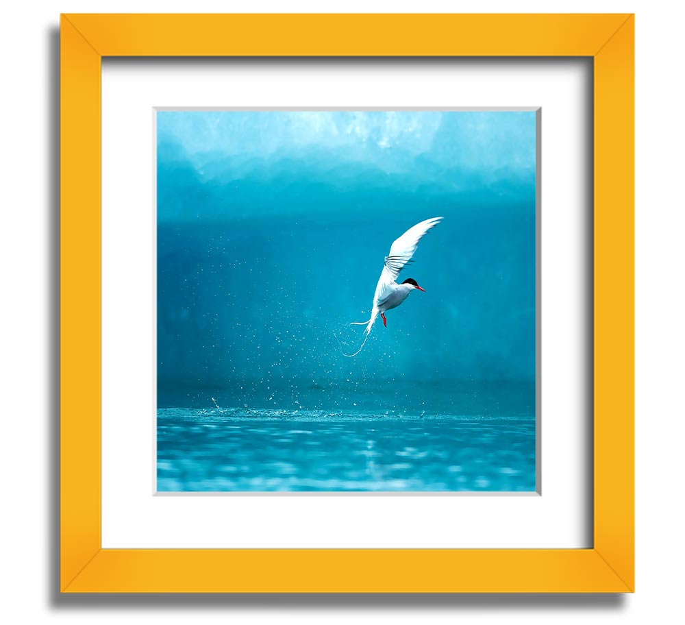 A beautifully framed Arctic Tern print showcasing vibrant colors and intricate details, ready to hang.