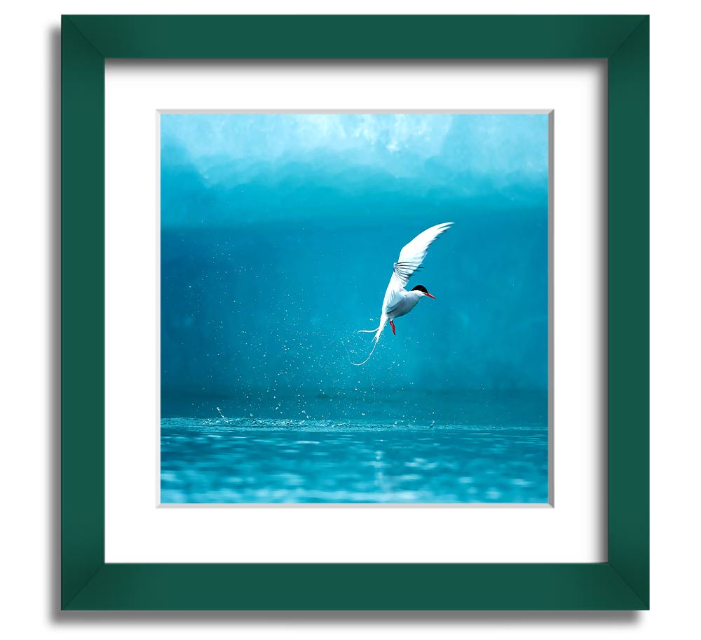 A beautifully framed Arctic Tern print showcasing vibrant colors and intricate details, ready to hang.