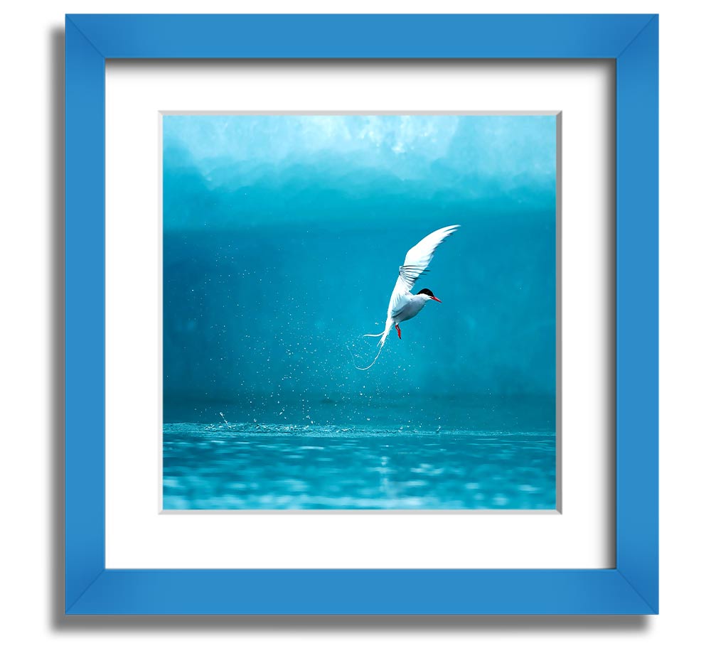 A beautifully framed Arctic Tern print showcasing vibrant colors and intricate details, ready to hang.