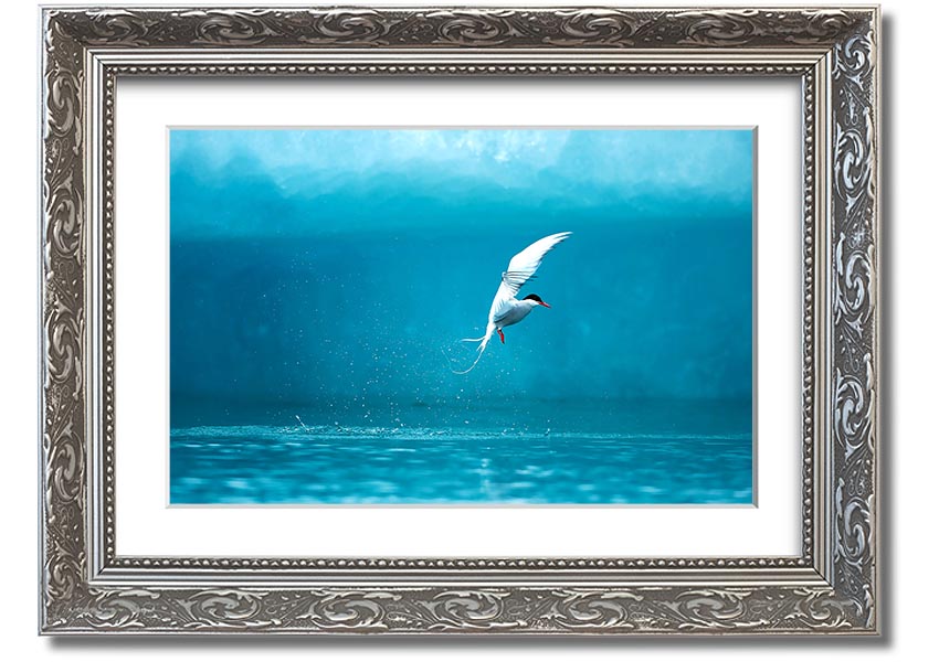 A beautifully framed Arctic Tern print showcasing vibrant colors and intricate details, ready to hang on the wall.