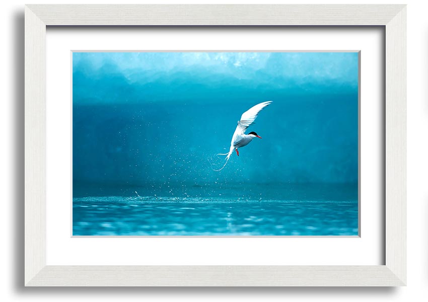 A beautifully framed Arctic Tern print showcasing vibrant colors and intricate details, ready to hang on the wall.