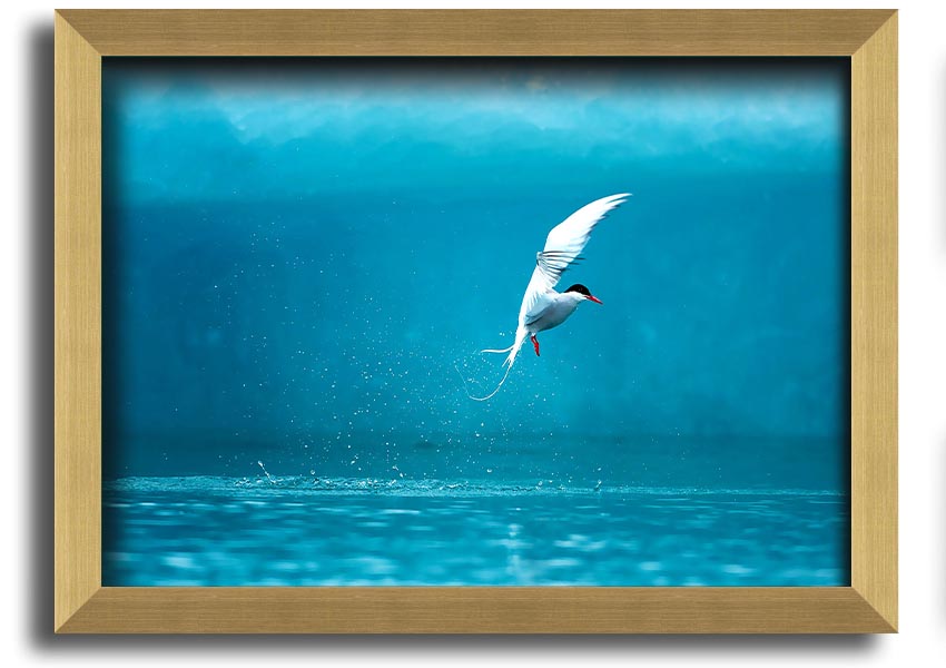 A beautifully framed Arctic Tern print showcasing vibrant colors and intricate details, ready to hang on the wall.