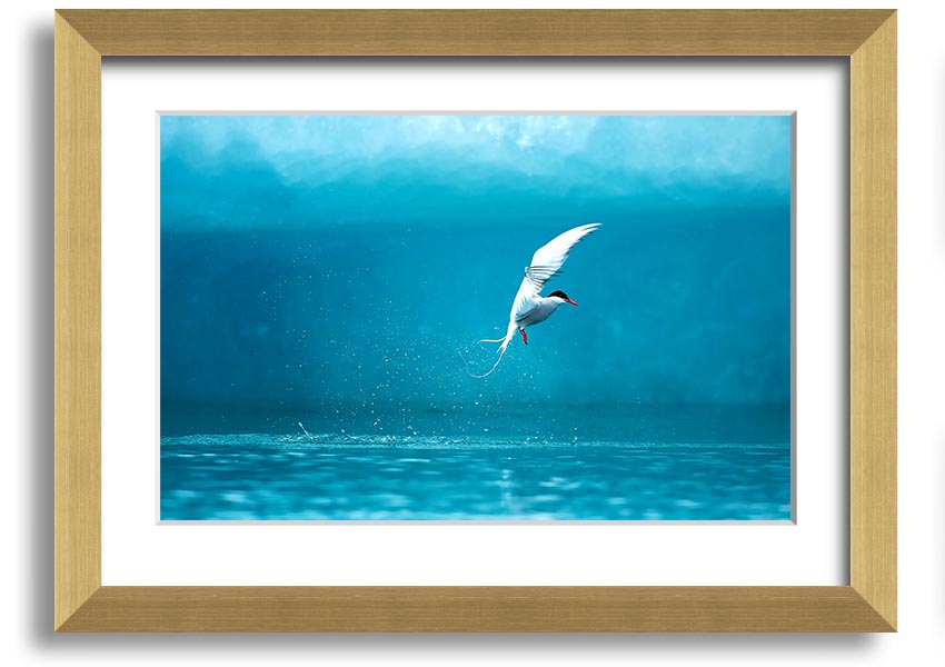 A beautifully framed Arctic Tern print showcasing vibrant colors and intricate details, ready to hang on the wall.