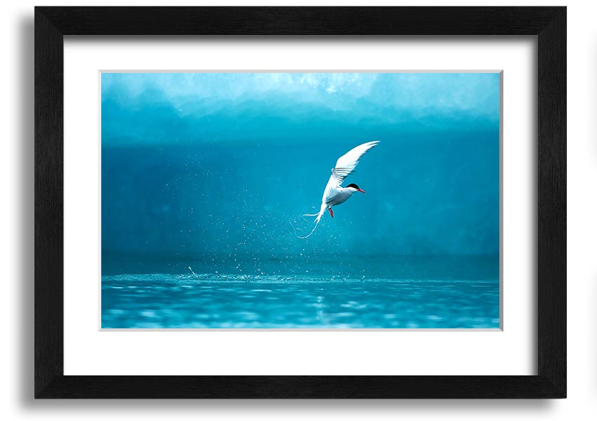 A beautifully framed Arctic Tern print showcasing vibrant colors and intricate details, ready to hang on the wall.