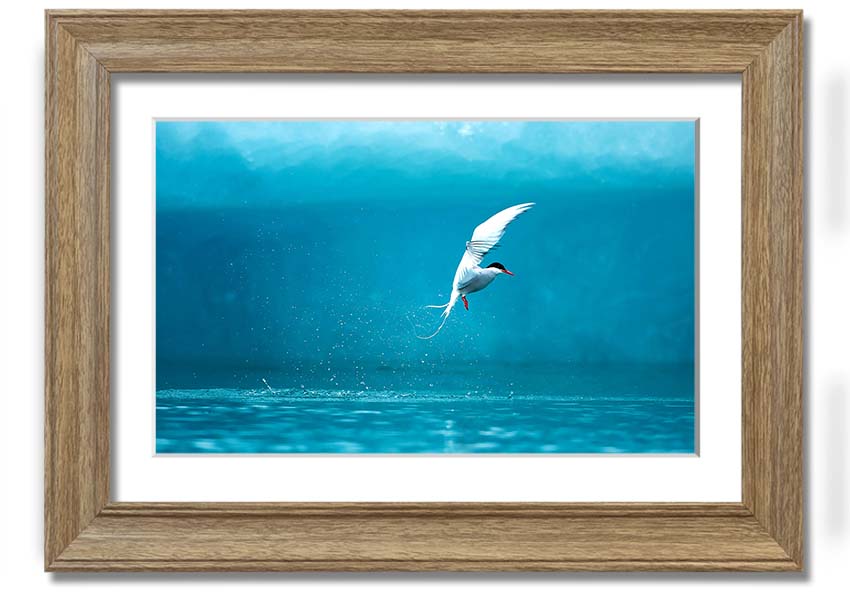 A beautifully framed Arctic Tern print showcasing vibrant colors and intricate details, ready to hang on the wall.