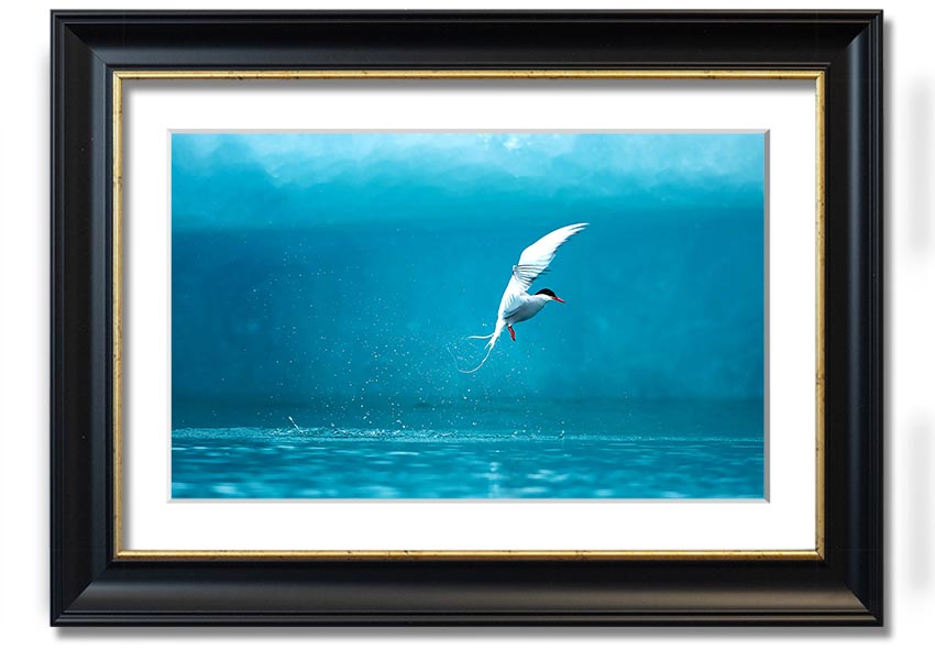 A beautifully framed Arctic Tern print showcasing vibrant colors and intricate details, ready to hang on the wall.