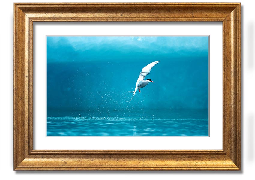 A beautifully framed Arctic Tern print showcasing vibrant colors and intricate details, ready to hang on the wall.