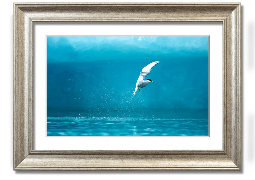 A beautifully framed Arctic Tern print showcasing vibrant colors and intricate details, ready to hang on the wall.