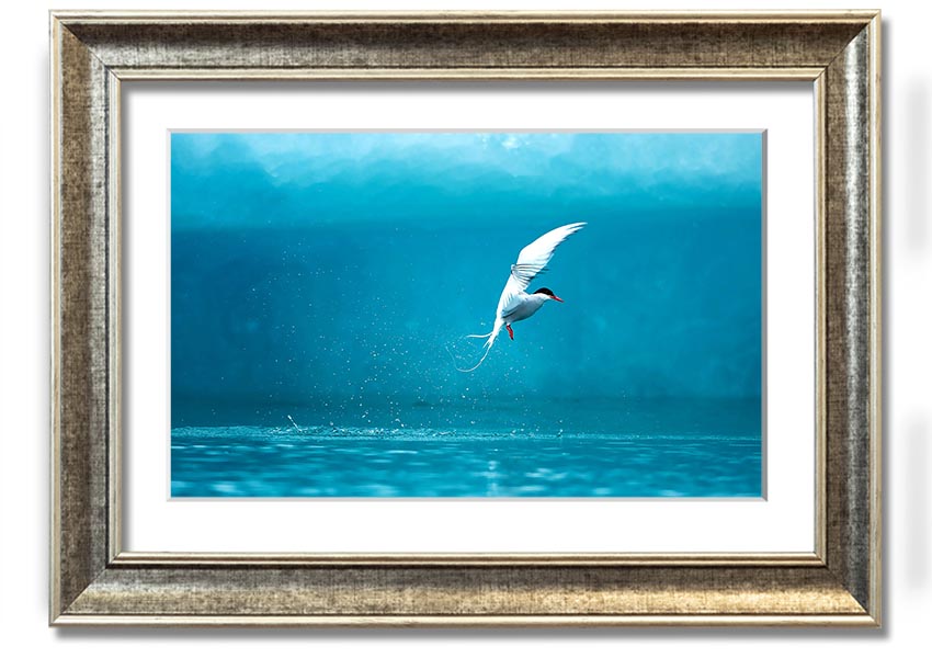 A beautifully framed Arctic Tern print showcasing vibrant colors and intricate details, ready to hang on the wall.