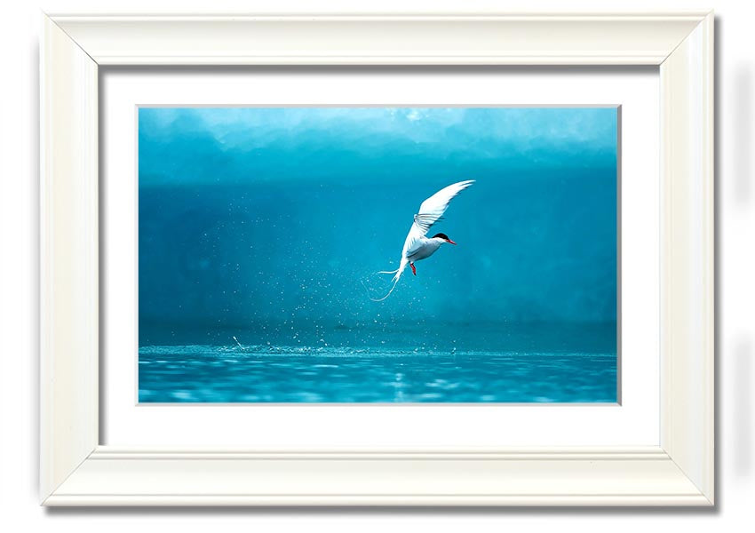 A beautifully framed Arctic Tern print showcasing vibrant colors and intricate details, ready to hang on the wall.