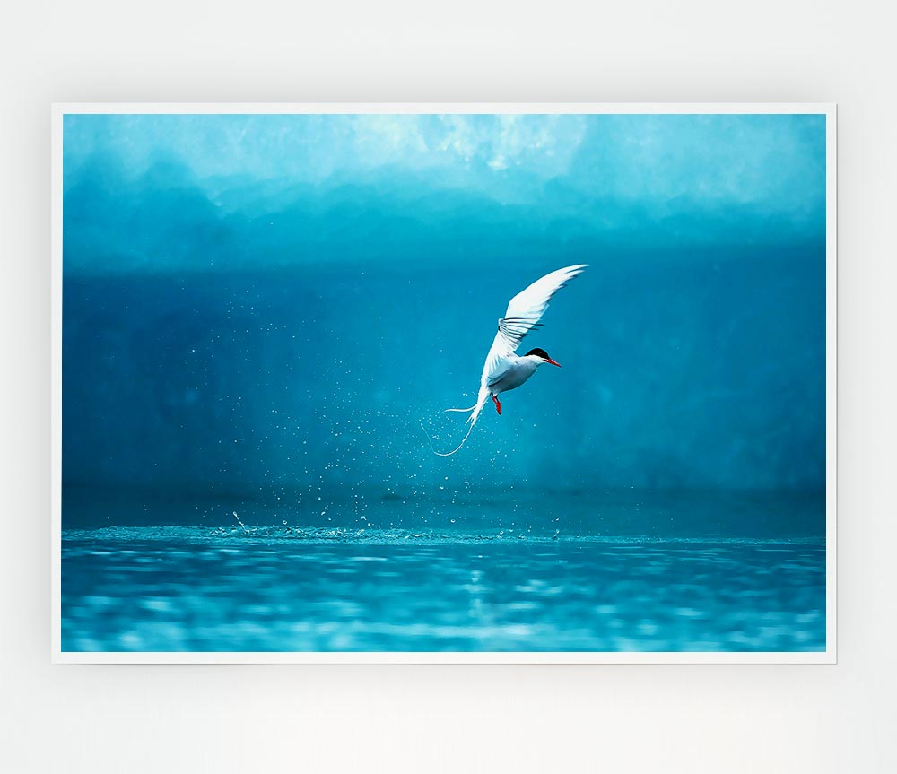 A vibrant Arctic Tern poster printed on high-quality canvas, showcasing the bird in its natural habitat.