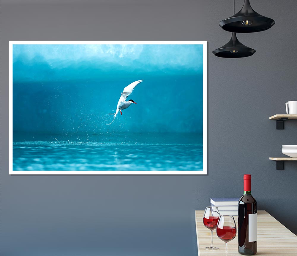 A vibrant Arctic Tern poster printed on high-quality canvas, showcasing the bird in its natural habitat.