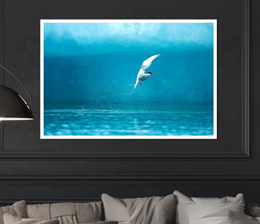 A vibrant Arctic Tern poster printed on high-quality canvas, showcasing the bird in its natural habitat.