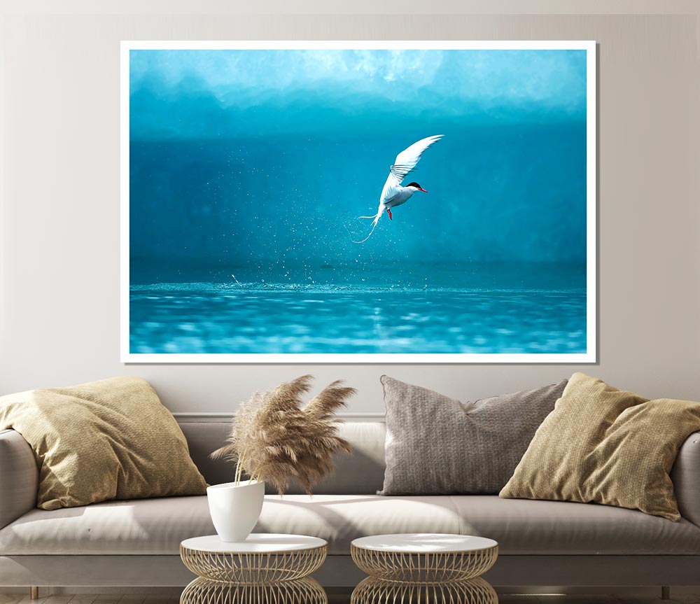 A vibrant Arctic Tern poster printed on high-quality canvas, showcasing the bird in its natural habitat.