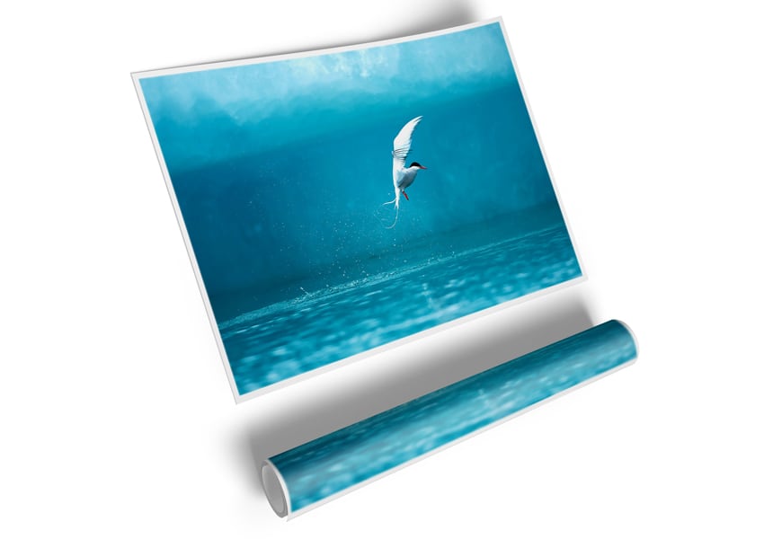 A vibrant Arctic Tern poster printed on high-quality canvas, showcasing the bird in its natural habitat.