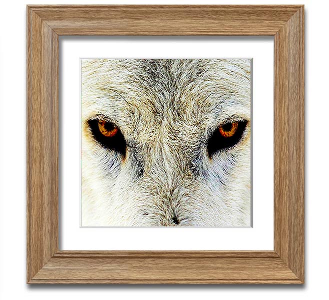 A beautifully framed print of Arctic wolf eyes, showcasing intricate details and vibrant colors, ready to hang on the wall.