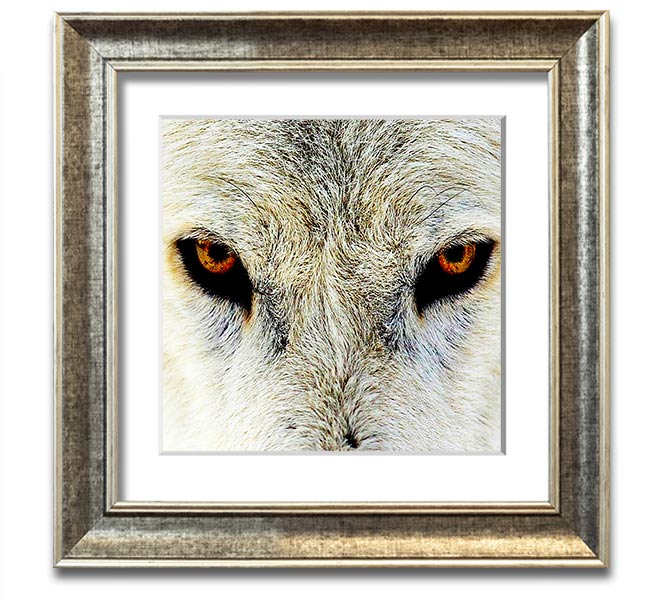 A beautifully framed print of Arctic wolf eyes, showcasing intricate details and vibrant colors, ready to hang on the wall.