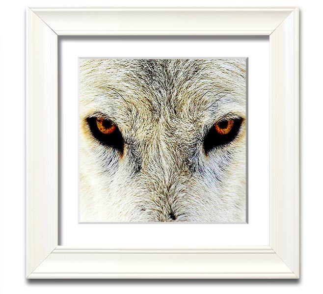 A beautifully framed print of Arctic wolf eyes, showcasing intricate details and vibrant colors, ready to hang on the wall.