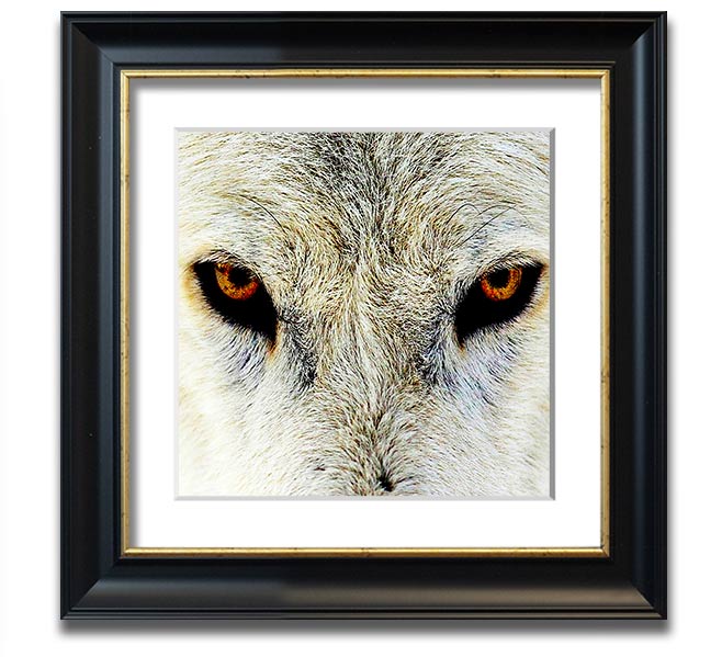 A beautifully framed print of Arctic wolf eyes, showcasing intricate details and vibrant colors, ready to hang on the wall.