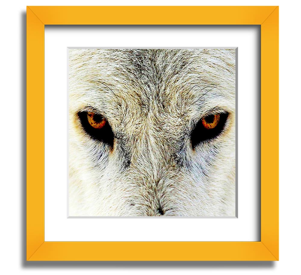 A beautifully framed print of Arctic wolf eyes, showcasing intricate details and vibrant colors, ready to hang on the wall.