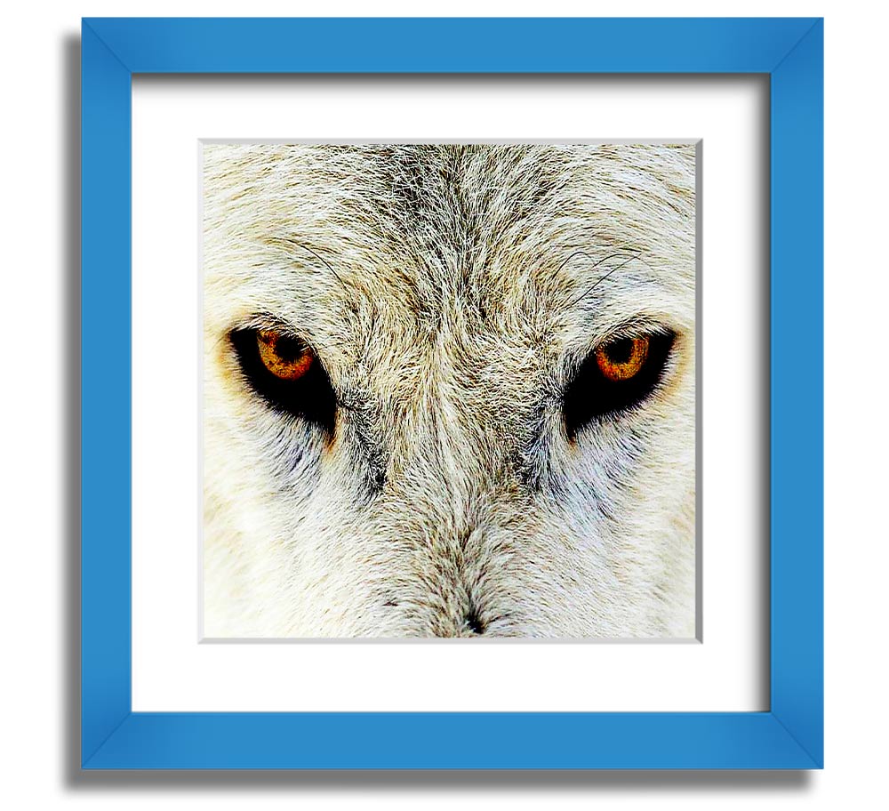 A beautifully framed print of Arctic wolf eyes, showcasing intricate details and vibrant colors, ready to hang on the wall.