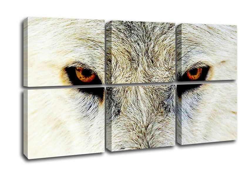 A stunning canvas print of Arctic wolf eyes, showcasing vibrant colors and detailed features, mounted on a sturdy box frame.