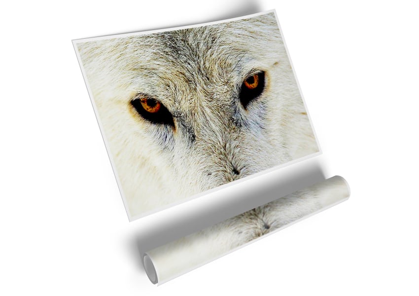 A high-quality canvas poster featuring the intense eyes of an Arctic wolf, showcasing its striking beauty and detail.