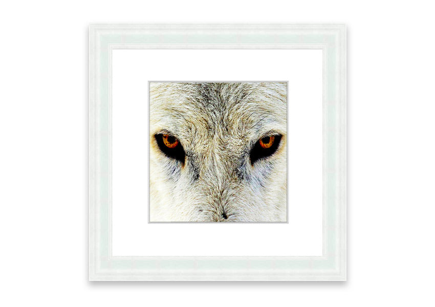 Framed print of Arctic Wolf Eyes, showcasing detailed artwork with vibrant colors, ready to hang.