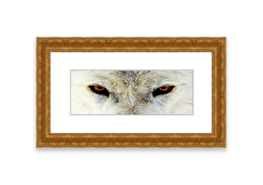 Framed print of Arctic Wolf Eyes, showcasing detailed artwork with vibrant colors, ready to hang.