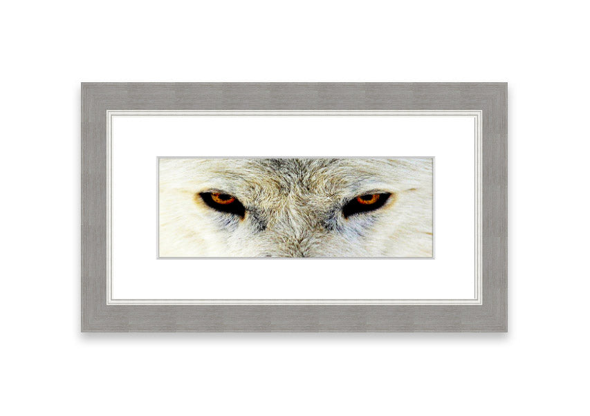 Framed print of Arctic Wolf Eyes, showcasing detailed artwork with vibrant colors, ready to hang.