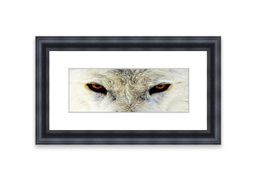 Framed print of Arctic Wolf Eyes, showcasing detailed artwork with vibrant colors, ready to hang.